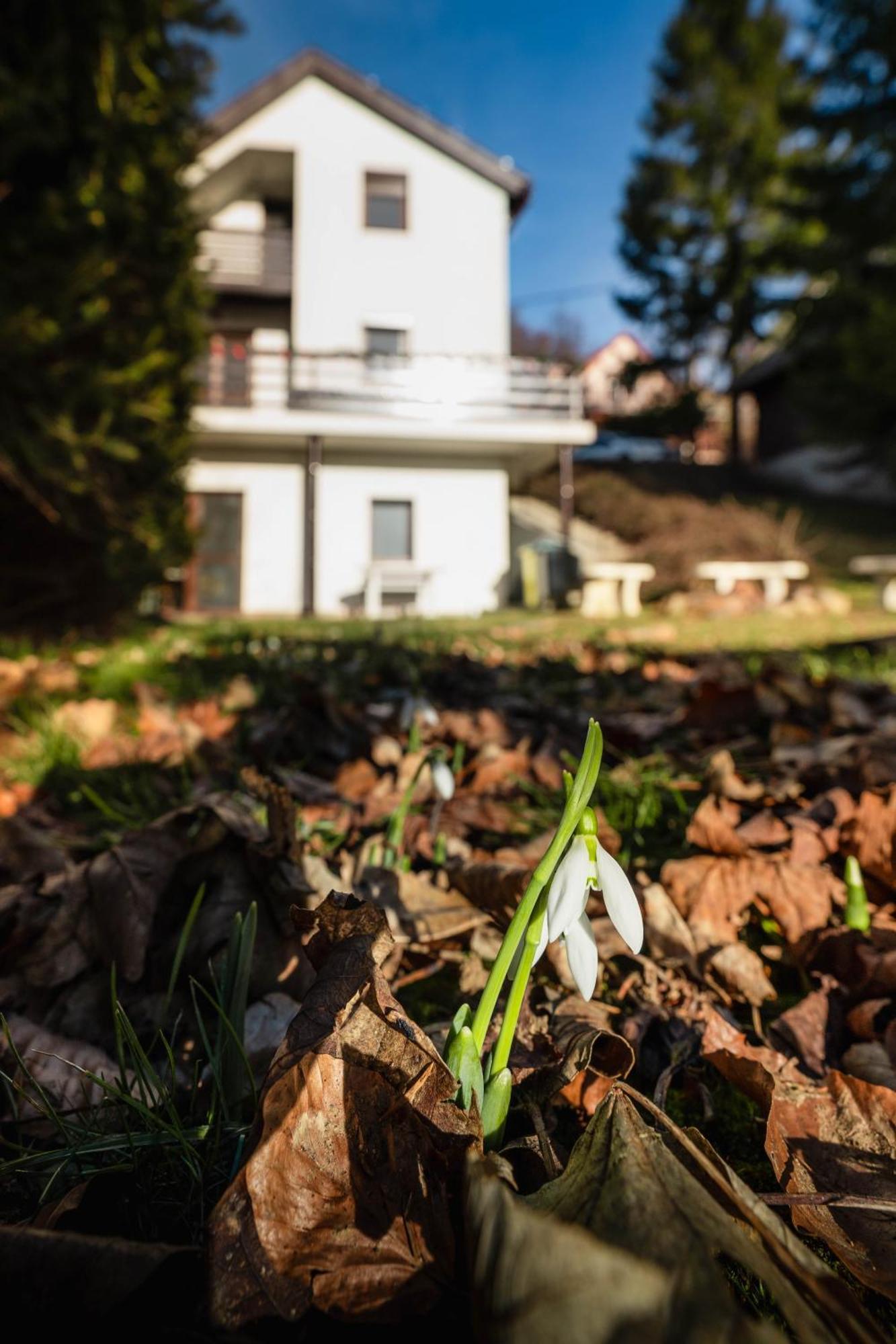 Molnarkalacs Vendeghaz Villa Matraszentimre Exterior photo